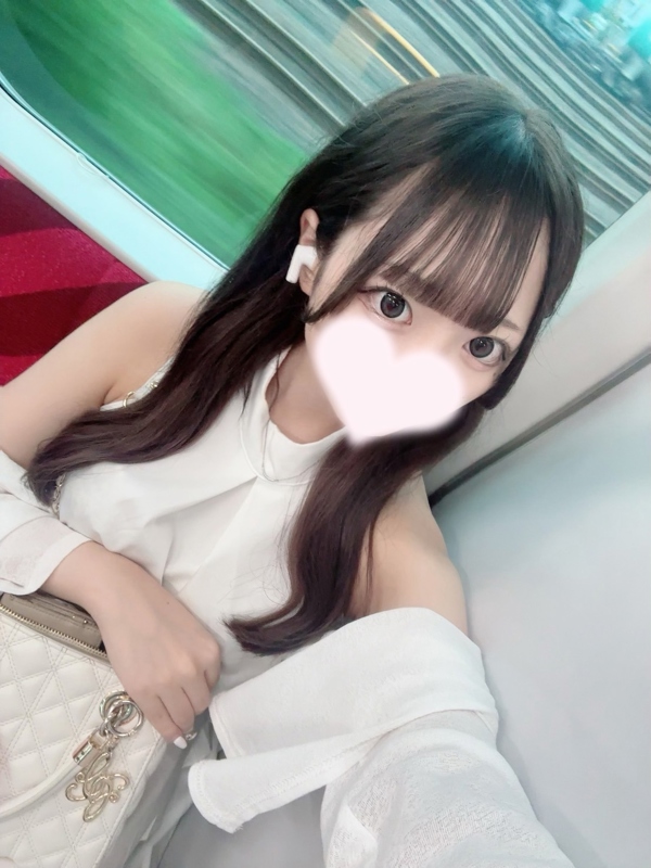 ちわわの画像
